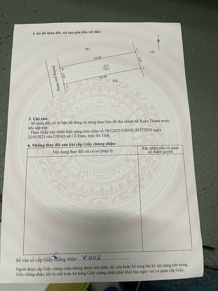 Đất nền tại Xuân Thành, Nghi Xuân 126m² - Giá cực hấp dẫn cho nhà đầu tư!