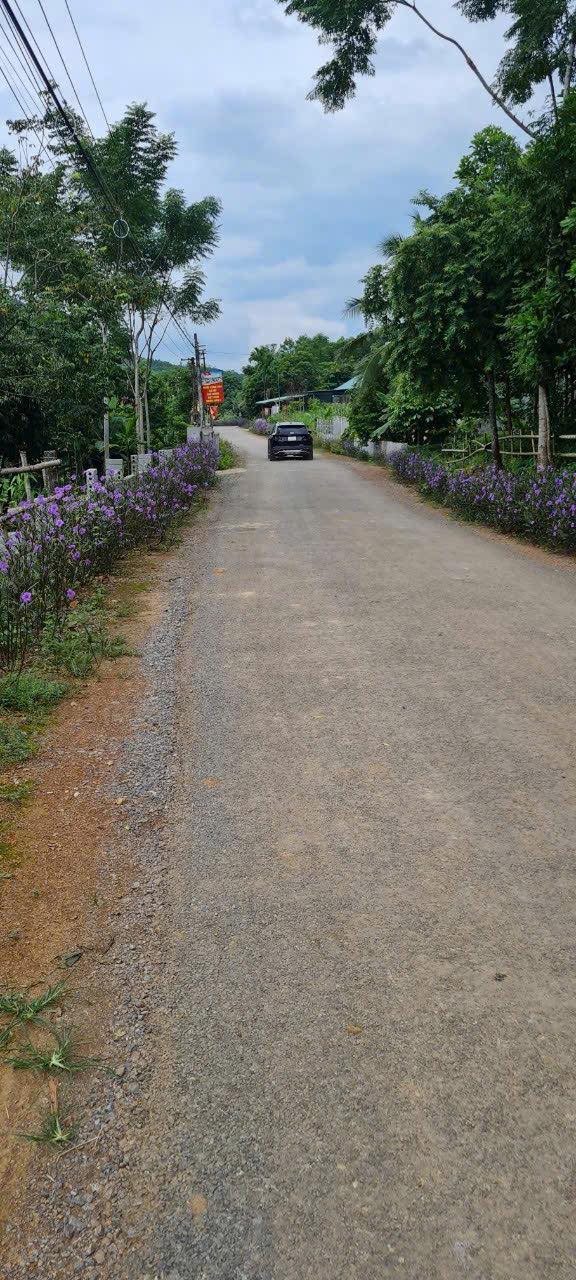 Đất nền Lộc Thịnh Ngọc Lặc 360m² giá 300 triệu - Chính chủ cần bán gấp!