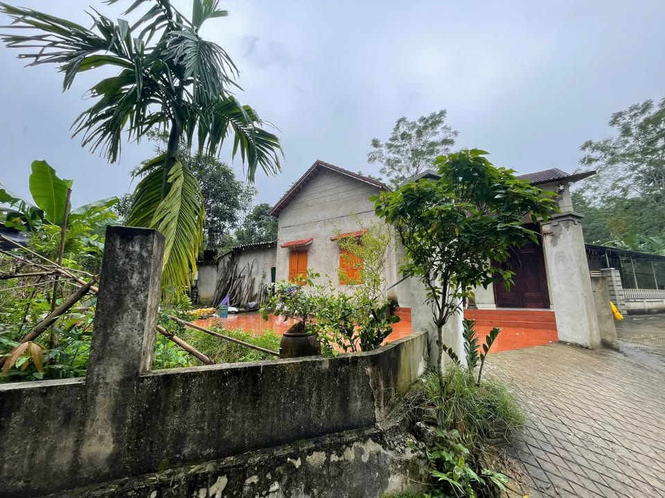 Đất nền Thôn Chợ, Cẩm Bình, 519.3m² giá 877 triệu - Sổ đỏ chính chủ!