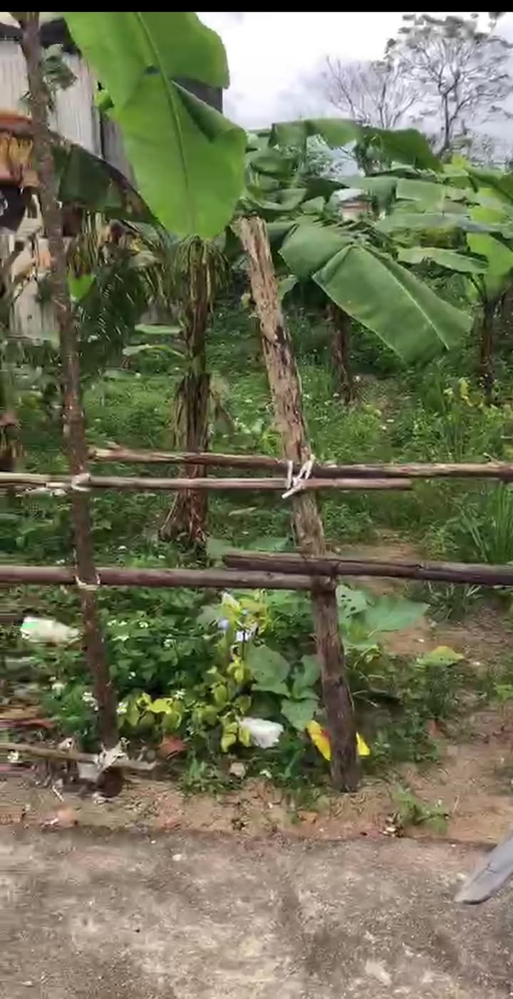 Đất nền Hòa Lạc, Phú Phong, Tây Sơn 100m² - Vị trí đẹp, giá tốt!