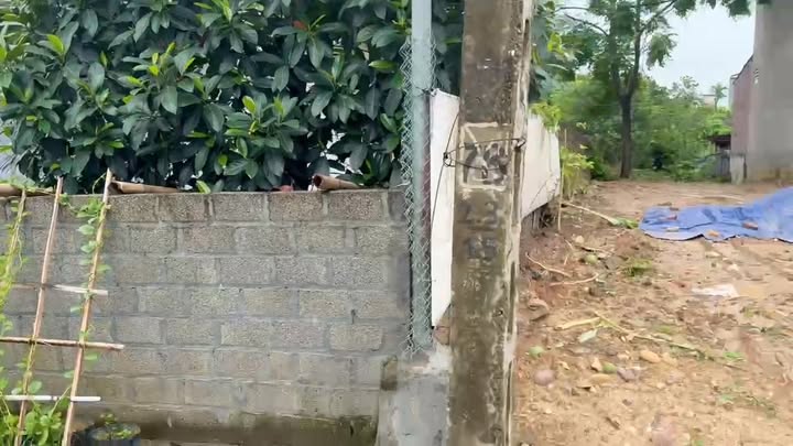 Bán đất thổ cư 116m² tại Hoàng Xá, Thanh Thủy - Giá thỏa thuận hợp lý!