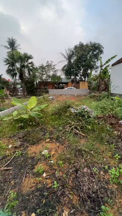 Đất nền Hoa Thành, Yên Thành 200m² giá 2 tỷ - Vị trí đắc địa, phù hợp đầu tư!