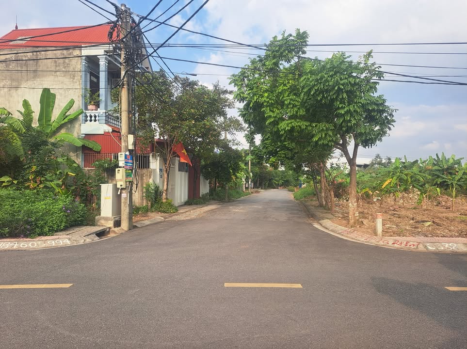 Nhà bán tại Quán Toan, Hải Phòng 100m² giá 2.3 tỷ - Hàng mới đẹp, vị trí trung tâm!