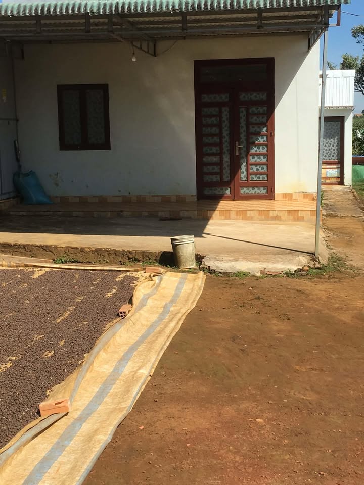 Nhà cấp 4 thôn 2 Lộc Quảng 400m² giá 1.6 tỷ - Gần chợ và trường học!