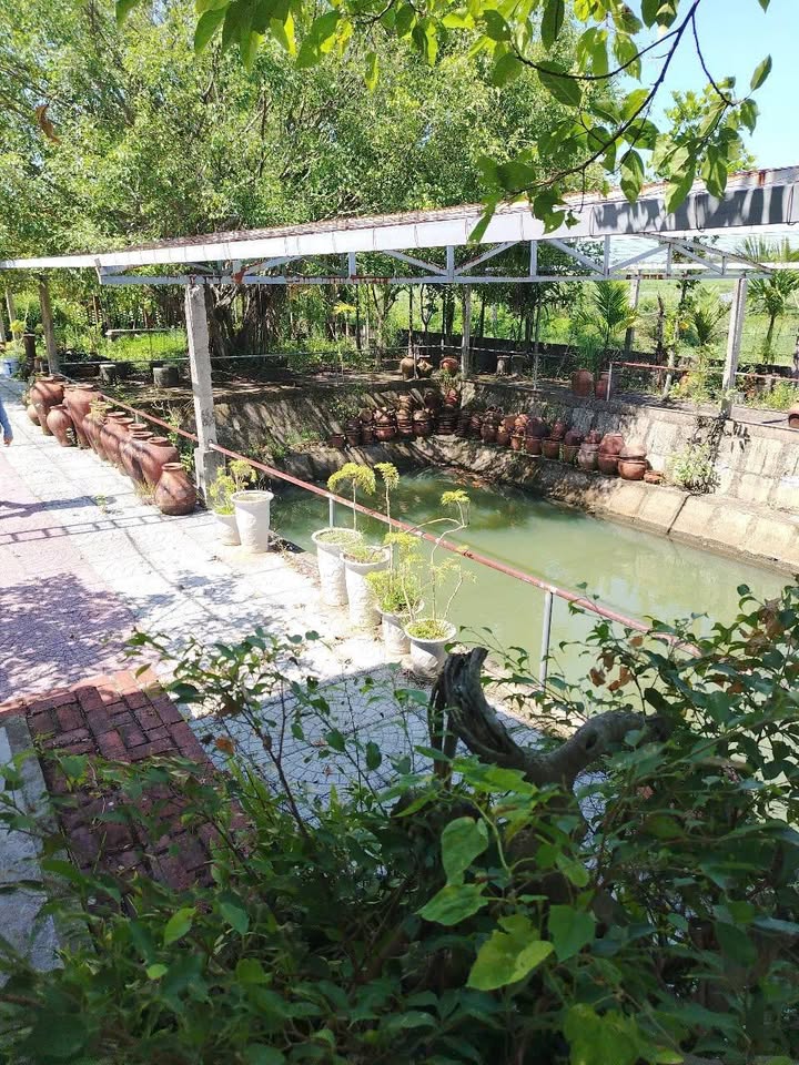 Lô đất vườn Hòa Tiến Đà Nẵng 1.453m² - Cảnh quan tuyệt đẹp, phong thủy tốt!