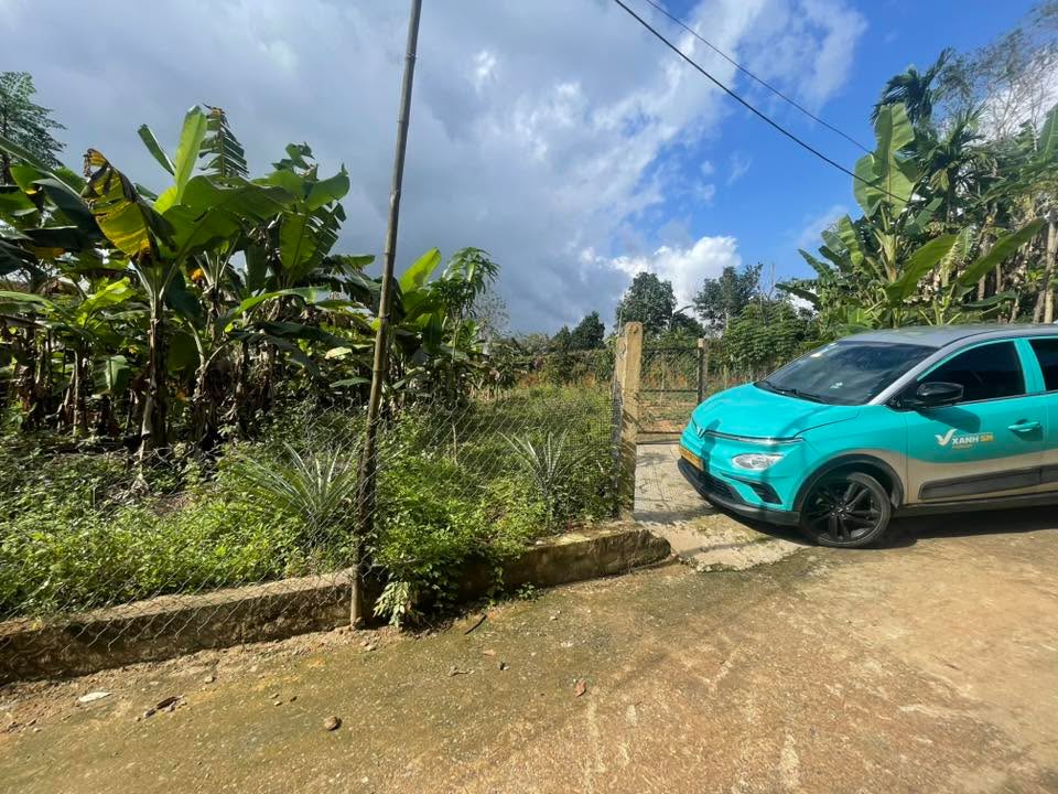 Đất nền Bà Nà Đà Nẵng 256m² giá 1 tỷ - Đầu tư sinh lời ngay!