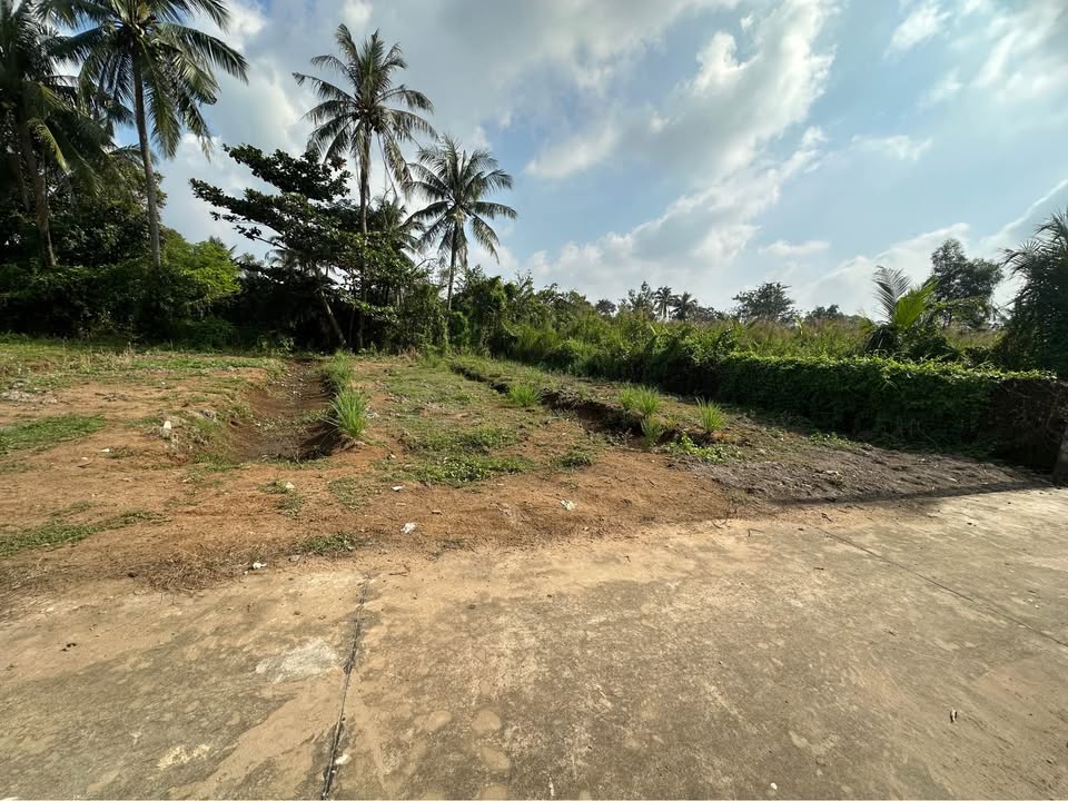 Đất vườn 932m² An Vĩnh Ngãi, Tân An, Long An - Giá chỉ 1.45 tỷ, đất cao ráo!