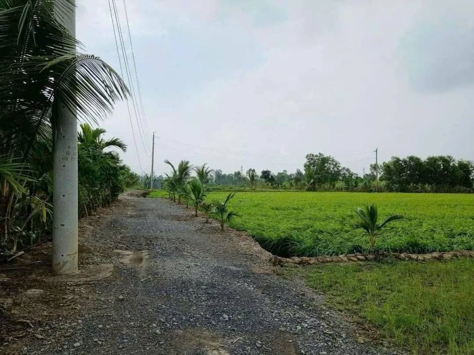 Đất vườn 506m² tại Ấp 1B, Tây Ninh - Giá chỉ 1.1 tỷ, sổ đỏ chính chủ!