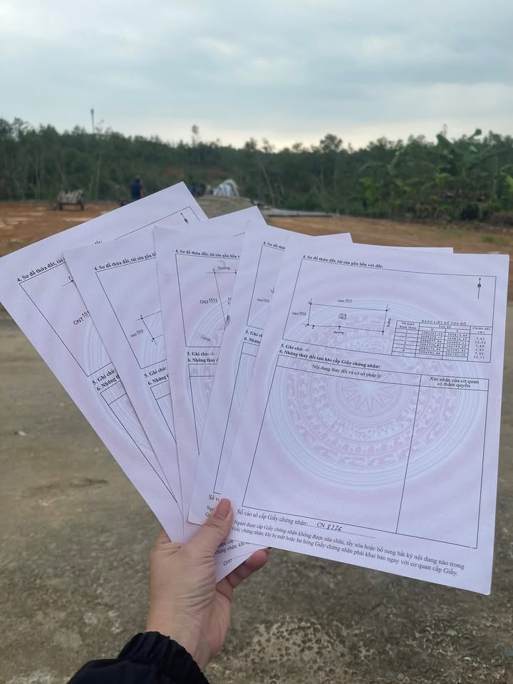 Đất nền Xuân Sơn Đô Lương 160m² giá chỉ 600 triệu - Đầu tư sinh lời ngay!