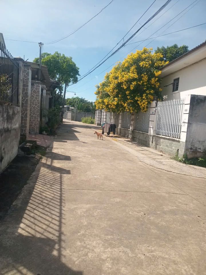 Nhà phố Khu phố 3, Tân Đồng 153m² giá 1 tỷ - Chính chủ bán gấp!