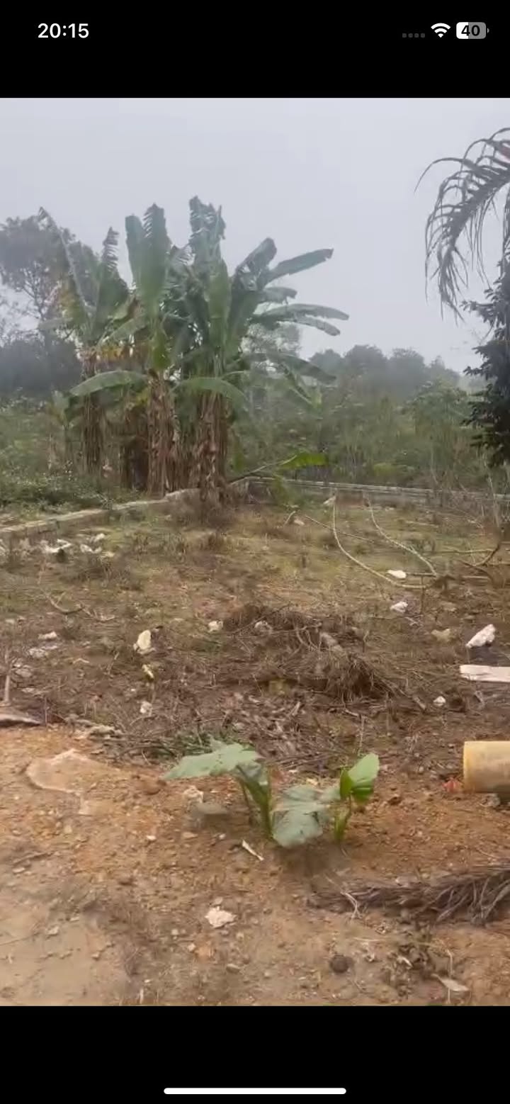 Đất nền 104m² tại Đồi Vua, Sơn Đông, Sơn Tây - Giá chỉ 2 tỷ, tiện ích đầy đủ!