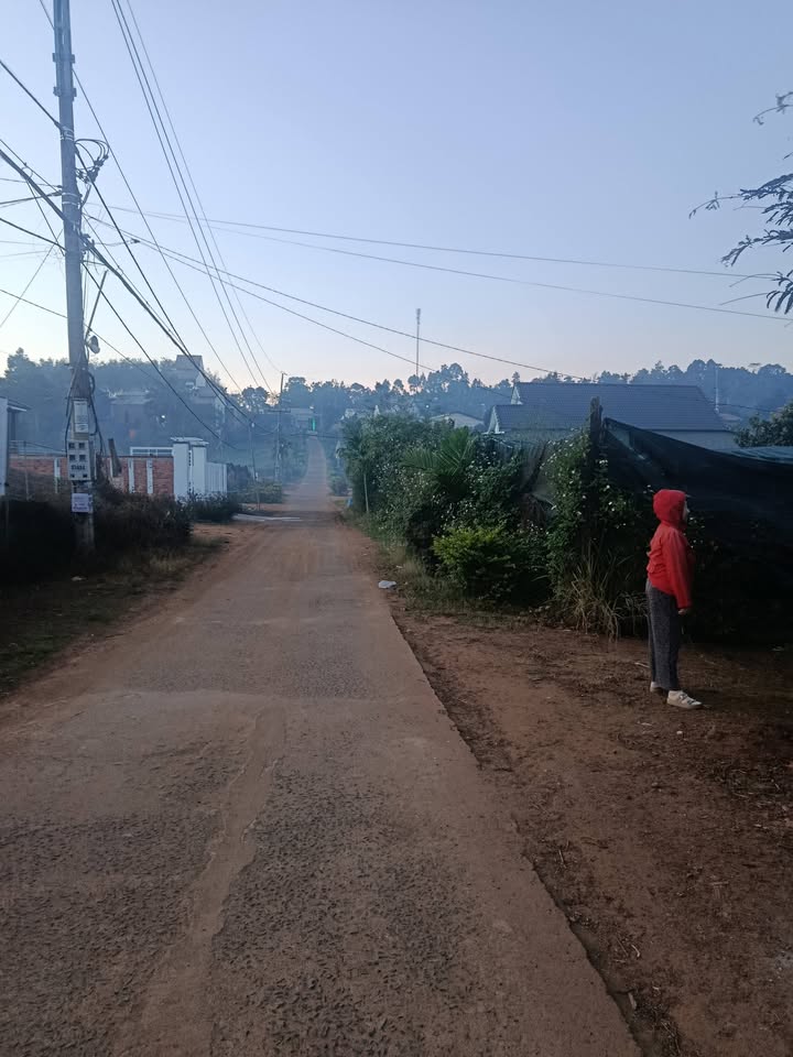 Đất thổ cư thôn Thuận Nam, xã Thuận An 570m² giá 570 triệu - Đầu tư sinh lời ngay!