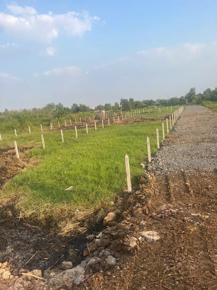 Đất vườn 500m² Bình Mỹ, Củ Chi giá 1.35 tỷ - Cơ hội đầu tư tuyệt vời!