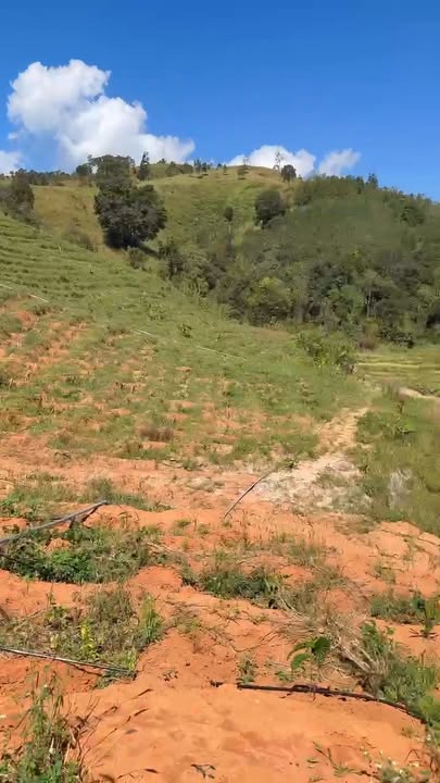 Farm cà phê Đắk Long Đắk Hà 2,6ha giá 2 tỷ - Đầu tư sinh lời ngay!