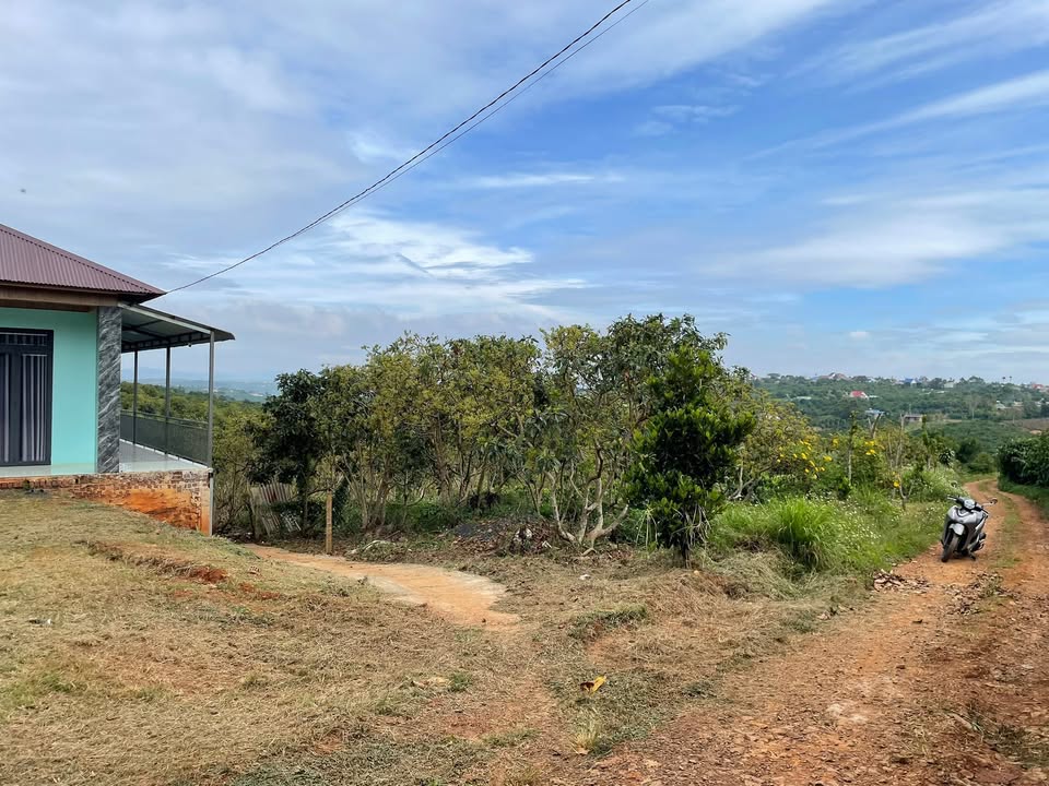 Đất nền Bảo Thuận Di Linh 1260m² giá 1.65 tỷ - Cơ hội đầu tư tuyệt vời!