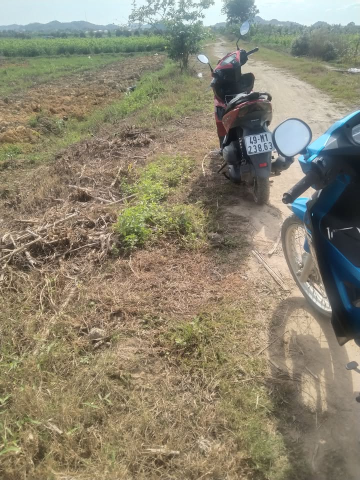 Đất nền Đạ Tẻh 1400m² giá 81.9 tỷ - Vị trí đắc địa gần chợ và trường học!