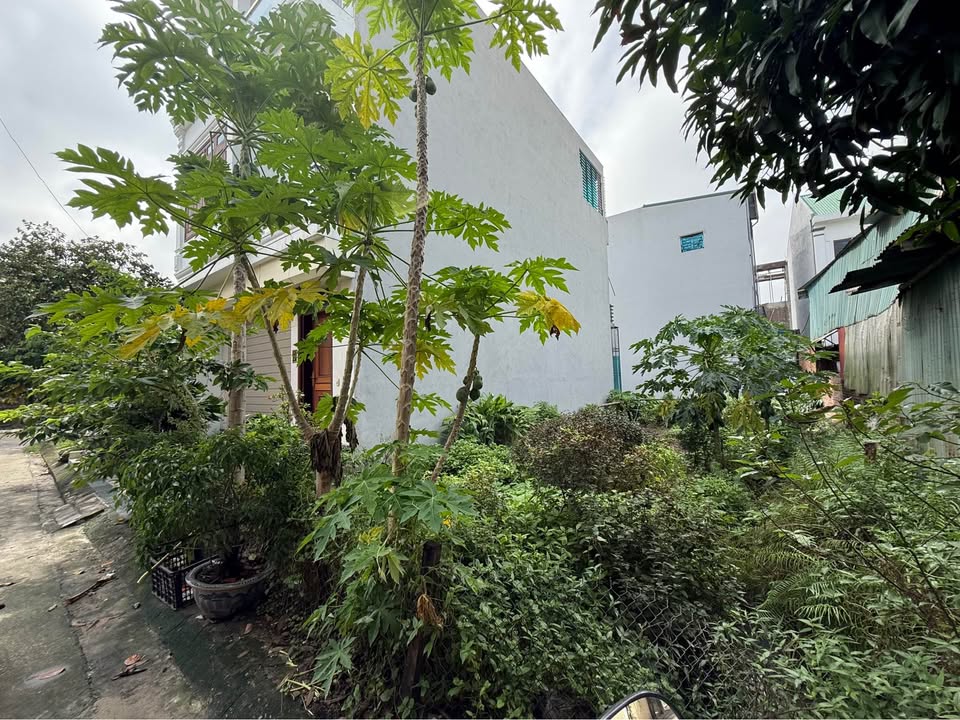 Đất nền phố Phúc Trì, Ninh Bình 90m² - Hướng Nam vuông vắn, giá thỏa thuận