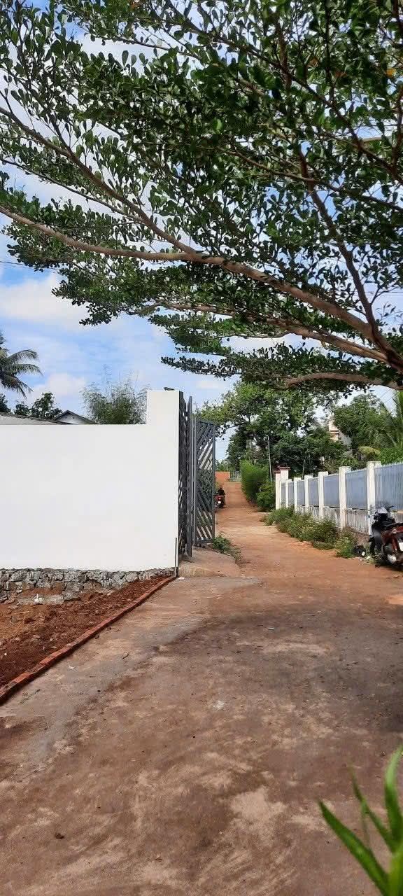 Đất thổ cư 208m² khu phố 5, Khánh Xuân giá 1.08 tỷ - Cơ hội đầu tư hiếm có!