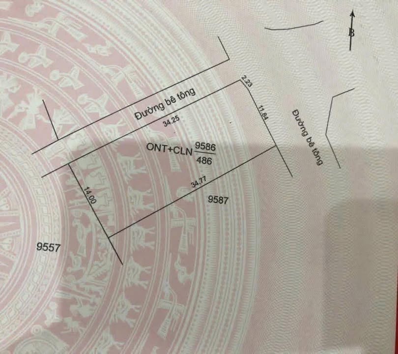 Đất nền Thôn 11, xã Ea Ktur, huyện Cư Kuin, 476m² - Vị trí gần mọi tiện ích