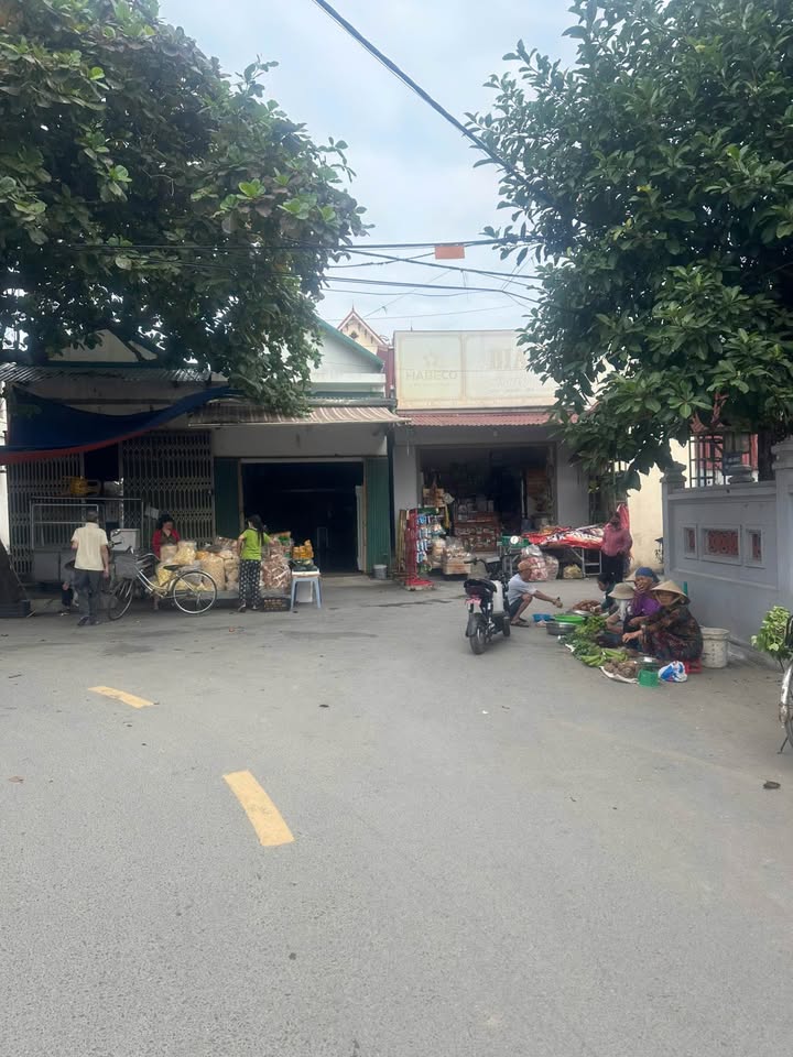 Đất nền Ngọc Tảo, Phúc Thọ 47m² giá 1 tỷ - Cơ hội đầu tư hấp dẫn!