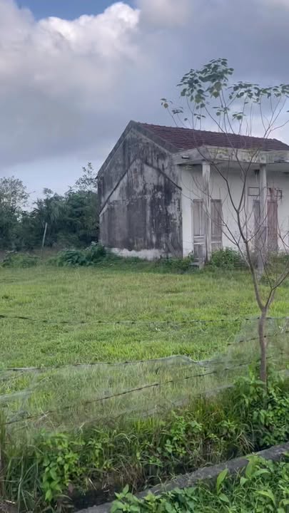 Đất nền Thạch Xuân 320m² giá 1.1 tỷ - Đầu tư sinh lời ngay!