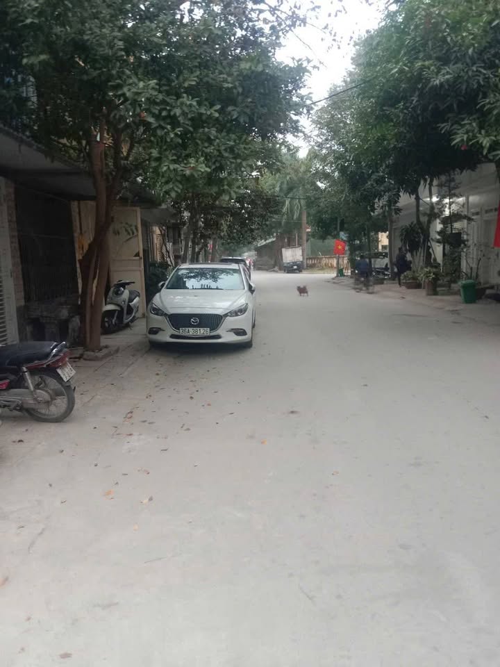 Nhà 1 tầng Nam Ngạn, Thanh Hóa 67m² giá 2.6 tỷ - Sẵn sàng vào ở ngay!