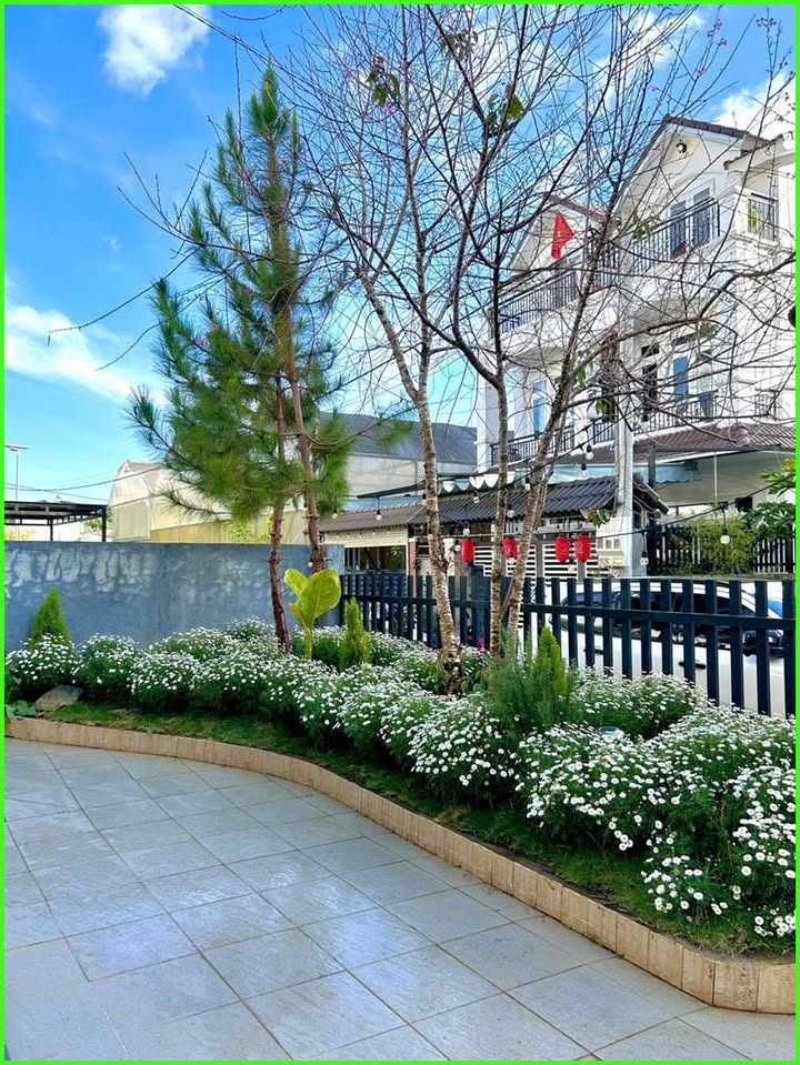 Cho thuê villa 6 phòng ngủ Vạn Thành, Đà Lạt giá 18 triệu - Sẵn sàng kinh doanh!