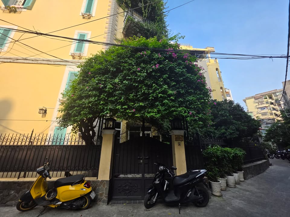 Nhà riêng Q3 Cách Mạng Tháng 8 80m² giá 11 tỷ - Ô tô vào tận nhà!