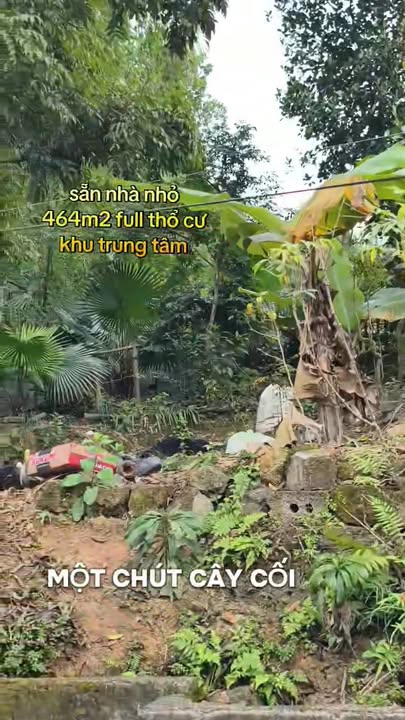 Đất nền Kim Bôi Hòa Bình 464m² - Sẵn nhà ở ngay!