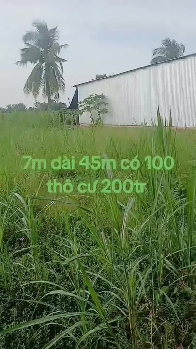 Đất thổ cư 315m² tại Ấp Bình Thọ 2, Chợ Gạo, Tiền Giang - Giá chỉ 200 triệu!