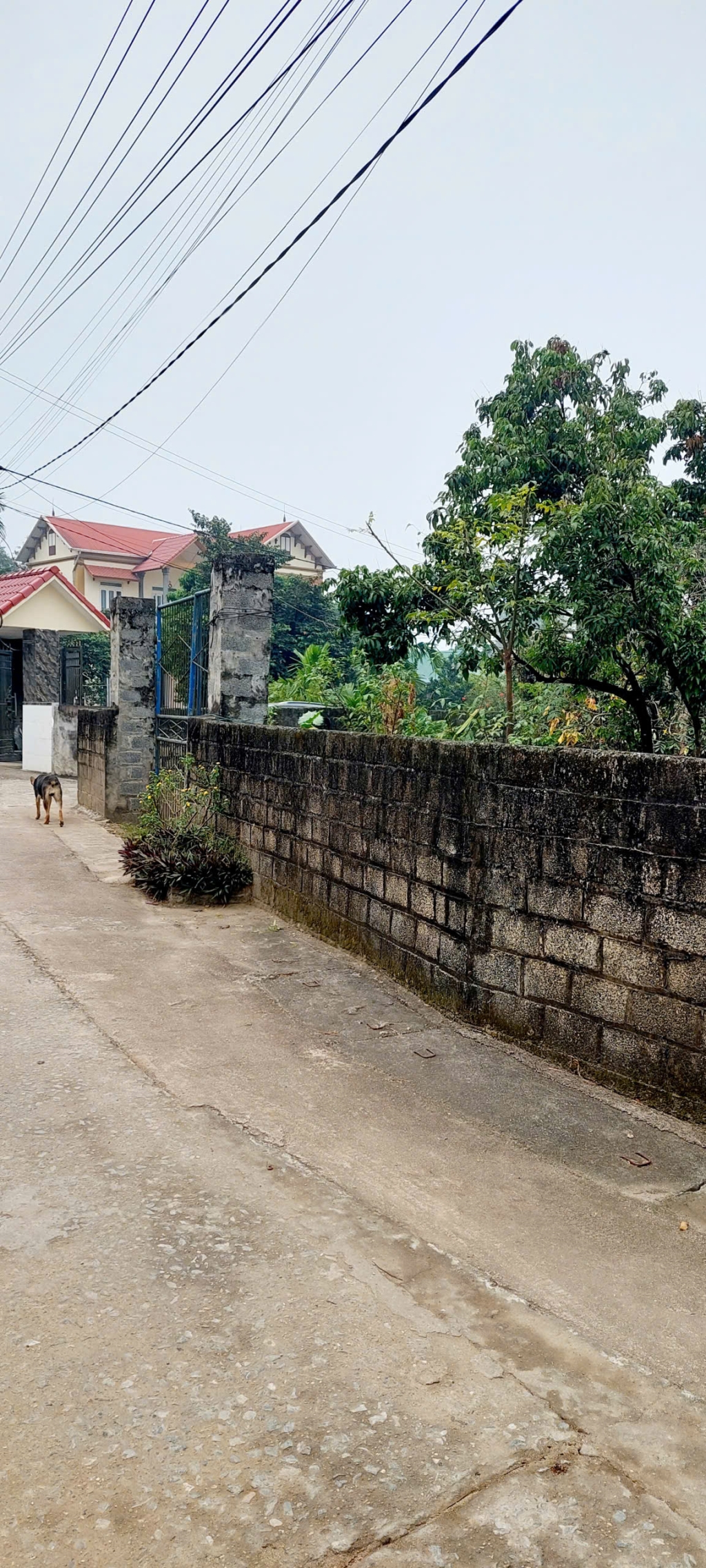 Đất Lô Góc 2000m² Tại Liên Sơn, Lương Sơn Hòa Bình - Tiềm Năng Phát Triển