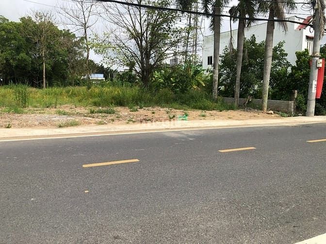 Bán Đất Thổ Cư Mặt Tiền Đường Đào Sư Tích, Nhà Bè 300m² - Đầu Tư Sinh Lời Hấp Dẫn!