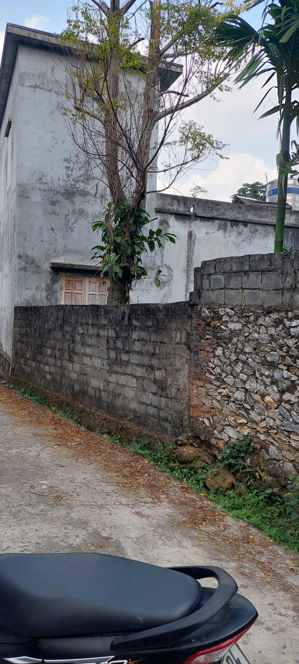 Bán đất tại Thị Trấn Bo, Kim Bôi, Hòa Bình 100m² chỉ 1,5 tỷ - Đầu tư lý tưởng gần suối khoáng!