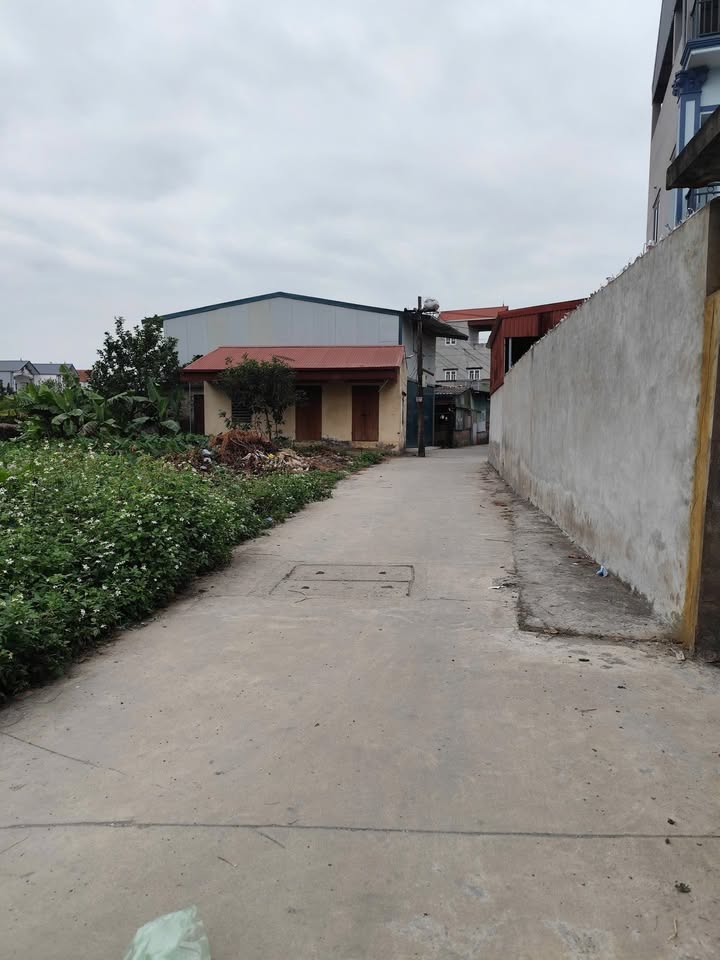 Đất nền Phú Túc, Phú Xuyên 145m² giá 3.835 tỷ - Đầu tư sinh lời ngay!