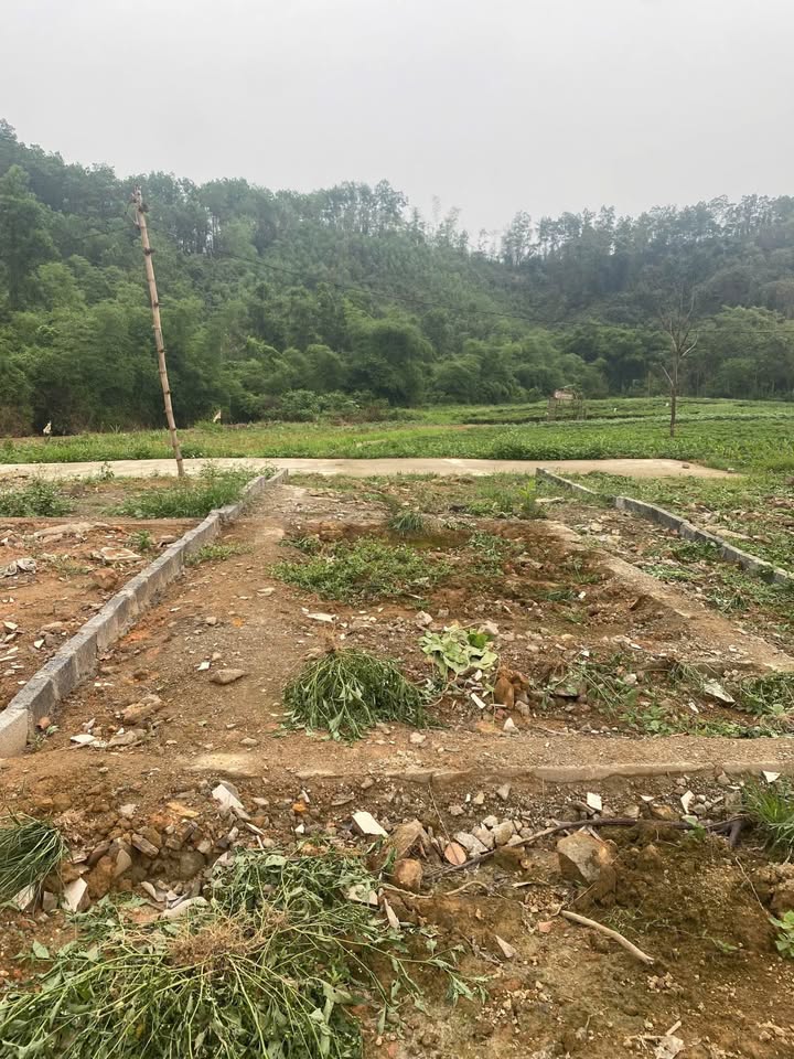 Lô đất Tân Cương Thái Nguyên 95m² chỉ 600 triệu - Cơ hội đầu tư tuyệt vời!