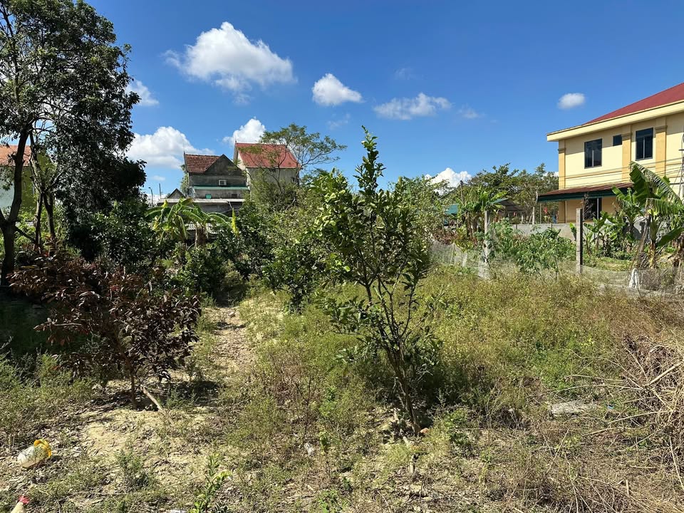 Đất thổ cư Cẩm Bình 280m² giá thỏa thuận - Gần trường cấp 1