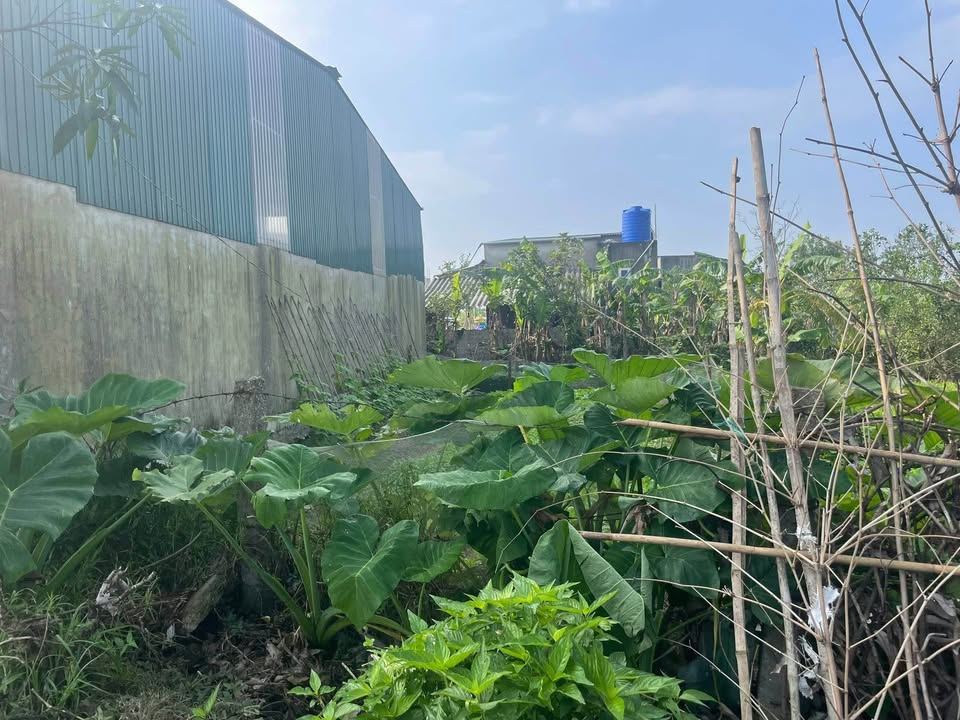 Đất nền Bắc Bình, Tượng Sơn 144m² giá 1.5 tỷ - Đường ô tô tránh nhau thoải mái!