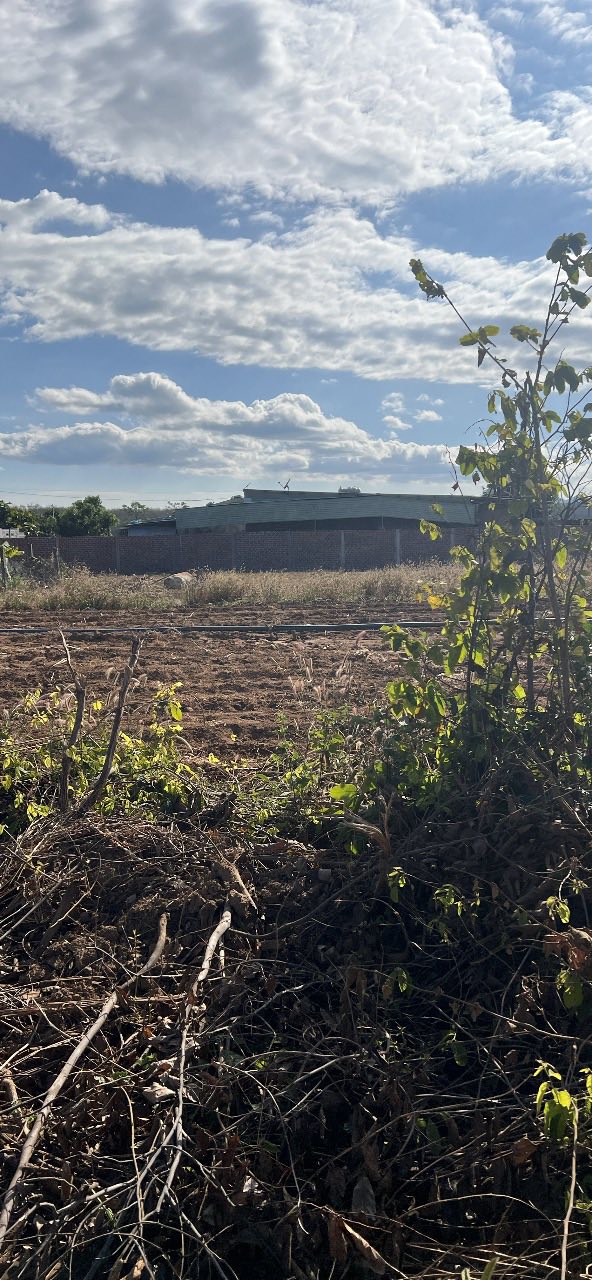 Đất ô bàn cờ Đăk Hring, Đăk Hà, Kon Tum 297m² - Sổ đỏ chính chủ, thổ cư 100%