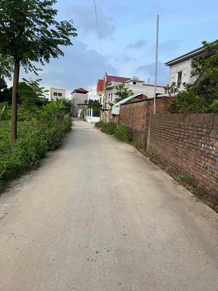 Đất nền Xuân Cẩm - Hiệp Hòa 84m² giá thỏa thuận - Đất đẹp, tiềm năng phát triển!