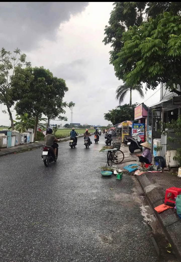 Đất nền lô góc Phú Xuân – Thái Bình 52,5m² giá 1 tỷ - Cơ hội đầu tư không thể bỏ lỡ!