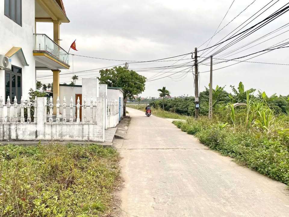 Đất nền Hoàng Quế, Đông Triều 112,4m² - Giá chỉ từ 900 triệu - Cơ hội đầu tư tuyệt vời!