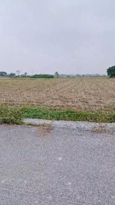 Đất nền Liêm Phong, Thanh Liêm 108m² giá 2 tỷ - Đầu tư sinh lời tốt!