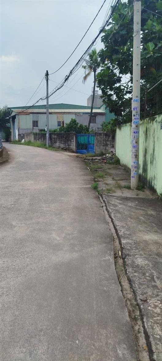 Đất nền 2000m² mặt tiền rạch APĐ9, An Phú Đông, Q12 - Giá chỉ 85 tỷ!