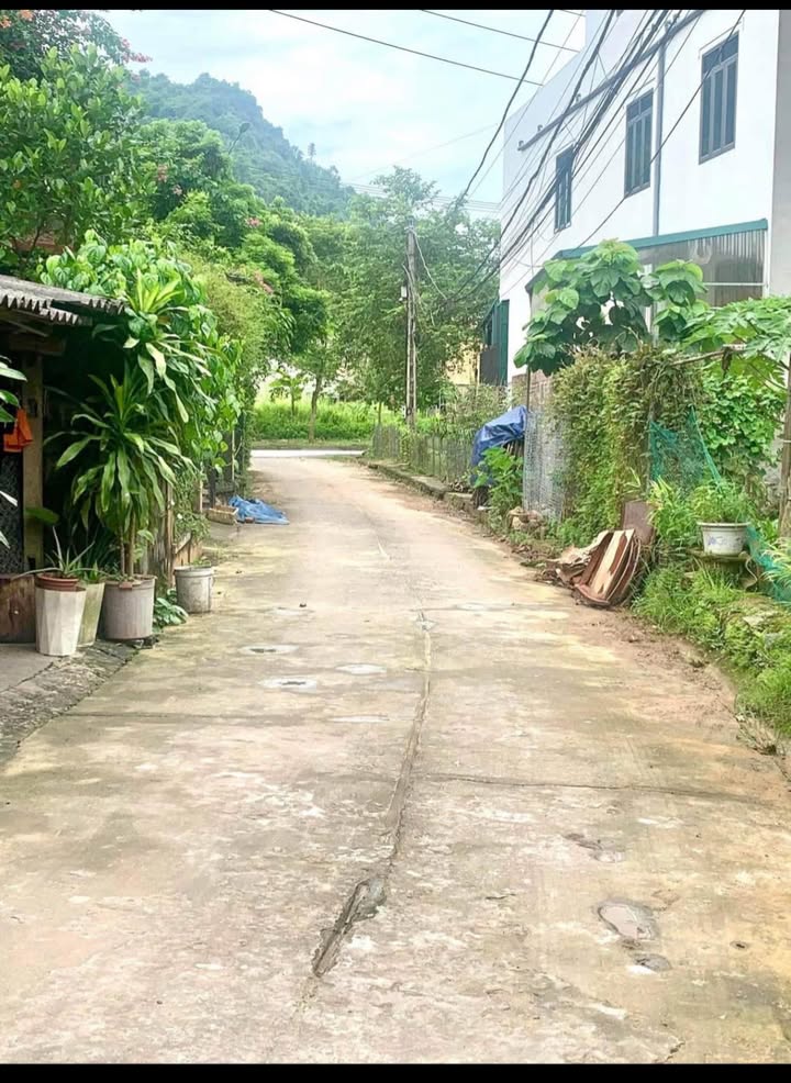 Đất nền Quang Trung 112m² giá 750 triệu - Gần trường tiểu học Nguyễn Huệ!