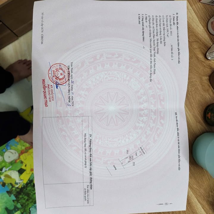 Đất đấu giá Trực Đạo Trực Ninh 109m² giá 3.291 tỷ - Vị trí đắc địa kinh doanh