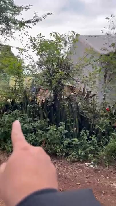 Đất nền 2 mặt tiền Hùng Vương, Nhơn Hòa 276m² - Đầu tư sinh lời cao!