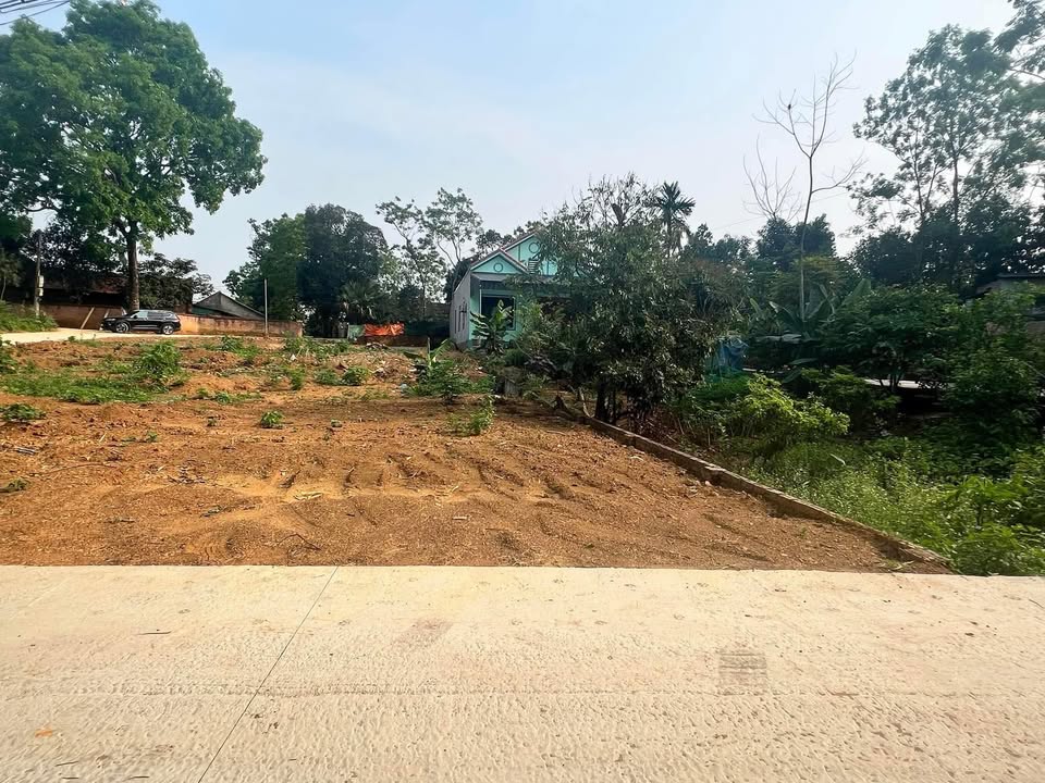 Đất nền Khu 1, xã Thanh Đình, Việt Trì 100m² giá 600 triệu - Cơ hội đầu tư lý tưởng!