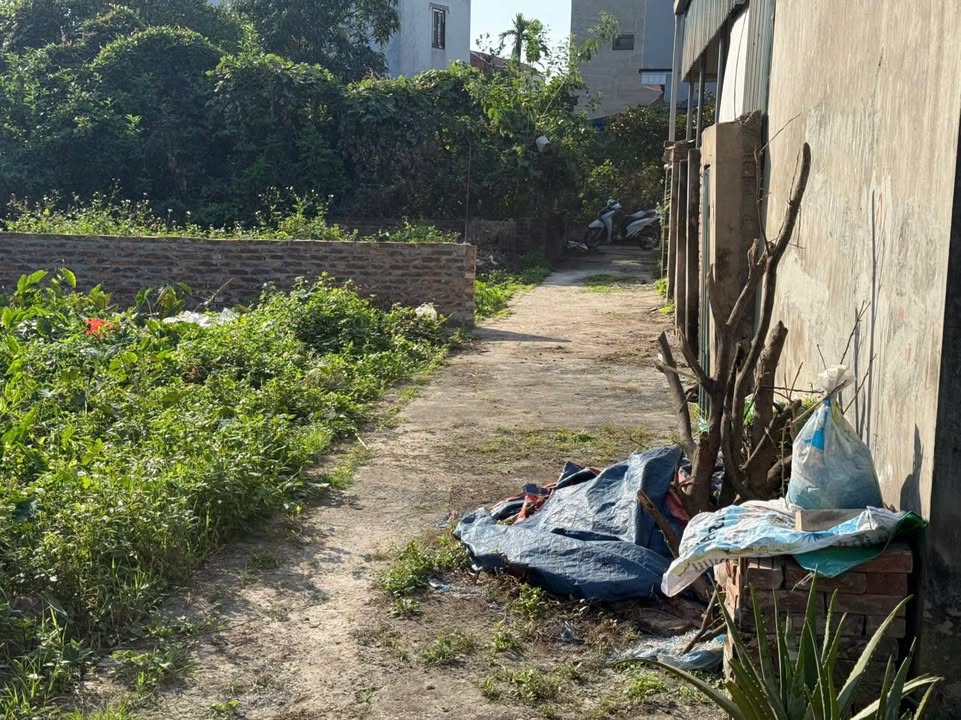 Đất nền tổ 14, phường Đồng Mai, Hà Đông 30m² giá 2.75 tỷ - Đầu tư sinh lời ngay!