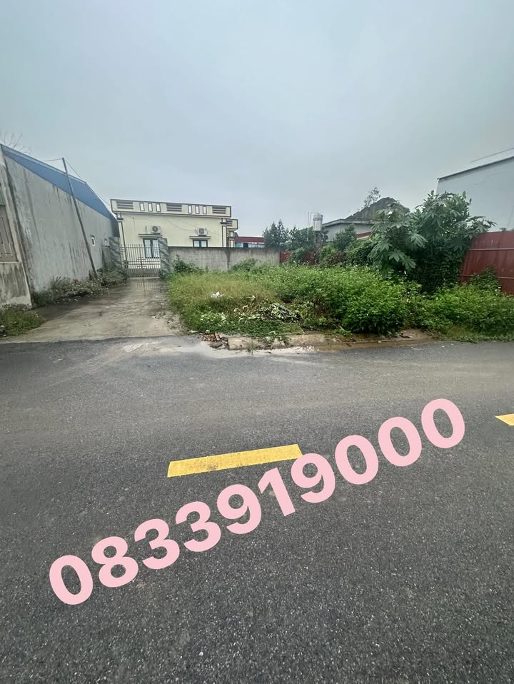 Đất nền Quốc Tuấn, An Lão 120m² giá 1.5 tỷ - Gần mọi tiện ích