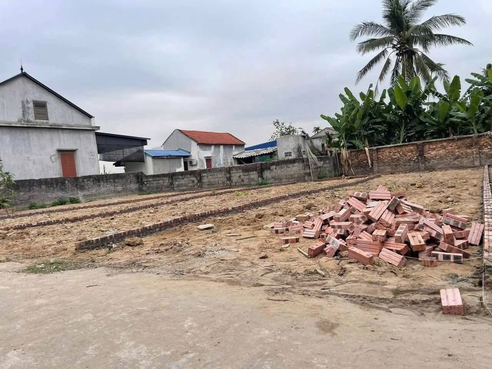 Đất nền An Thái - An Lão 63m² giá chỉ 500 triệu - Cơ hội vàng cho nhà đầu tư!